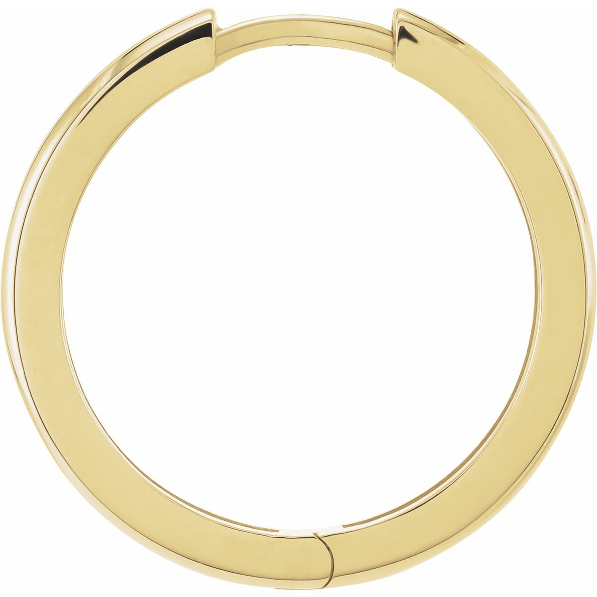 Huggie Hoop Earrings (20 Mm)