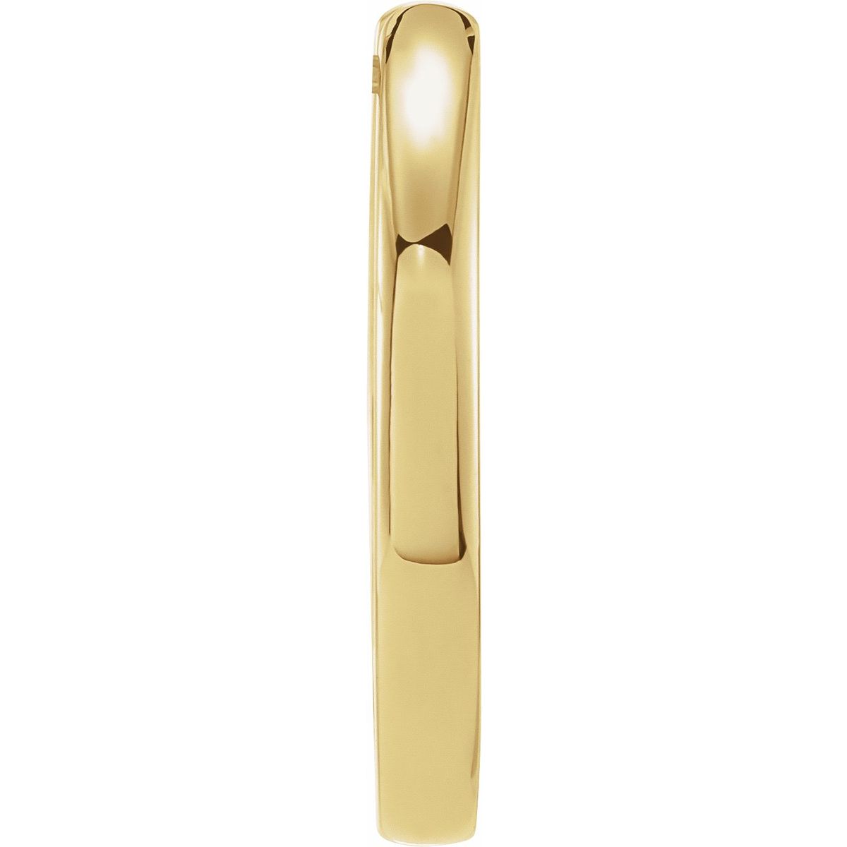 Huggie Hoop Earrings (17 Mm)