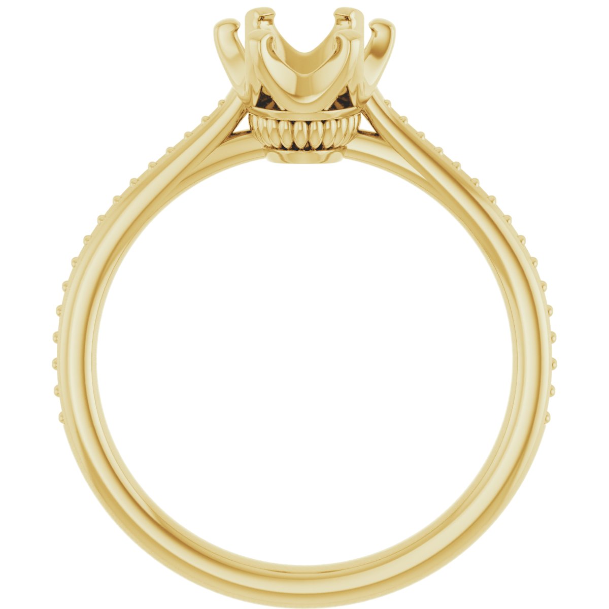 Oval Solitaire Engagement Ring (8 X 6 Mm) Mounting - gallery - Series 122004