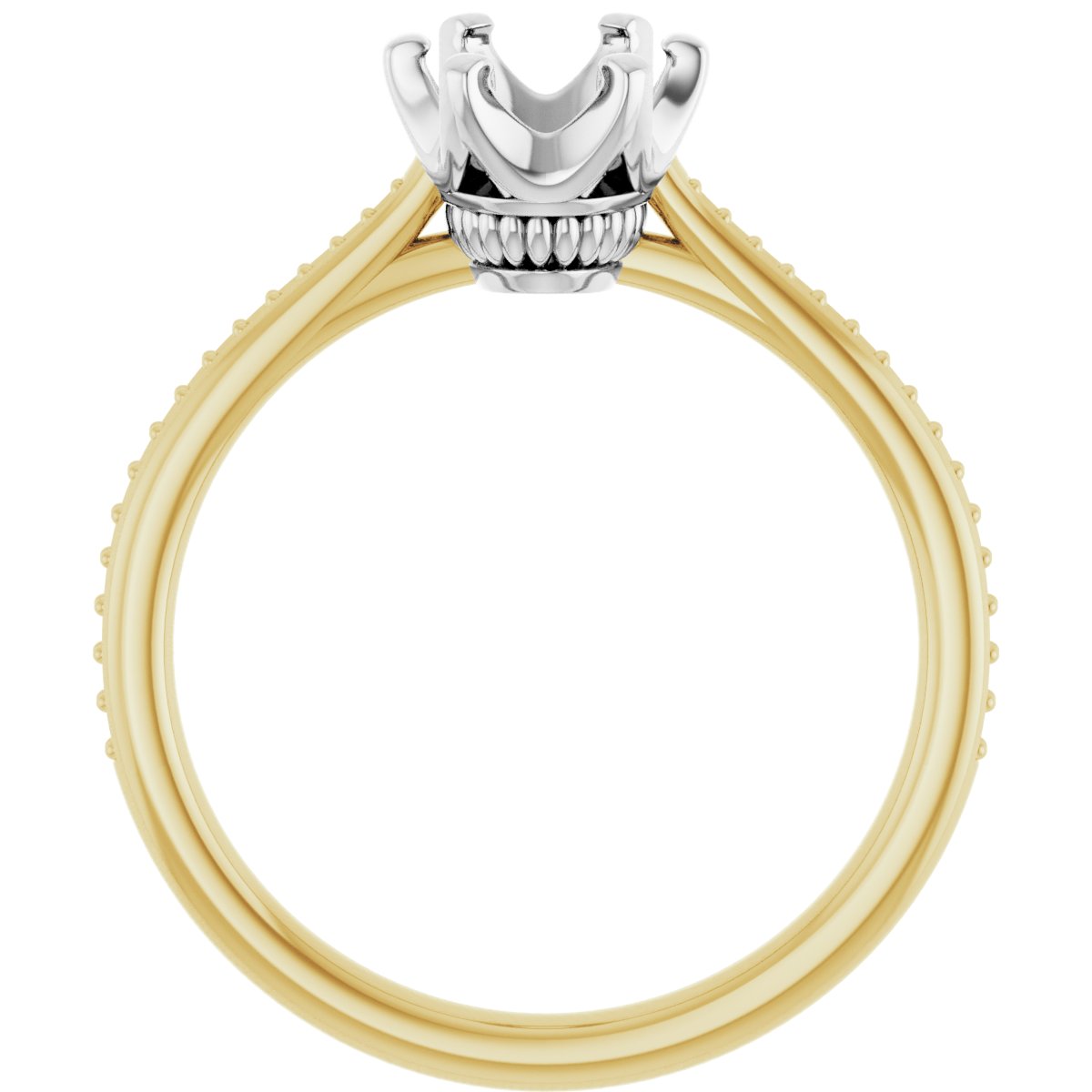 Oval Solitaire Engagement Ring (8 X 6 Mm) Mounting - gallery - Series 122004
