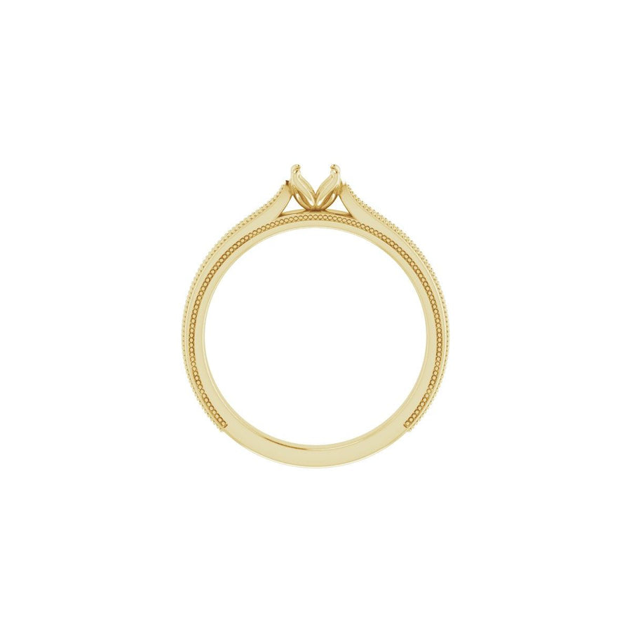 Round Solitaire Engagement Ring Mounting - gallery - Series 123043