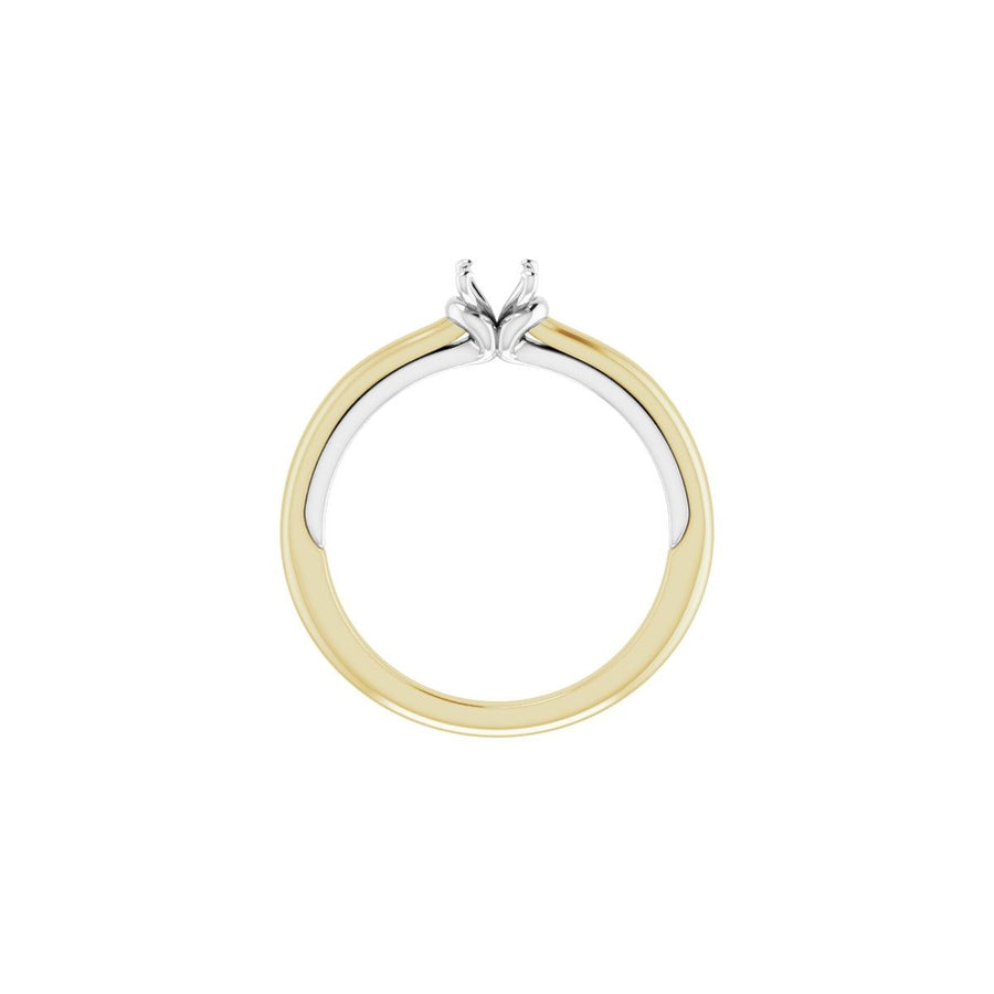 Oval Solitaire Engagement Ring (6 X 4 Mm) Mounting - gallery - Series 123440
