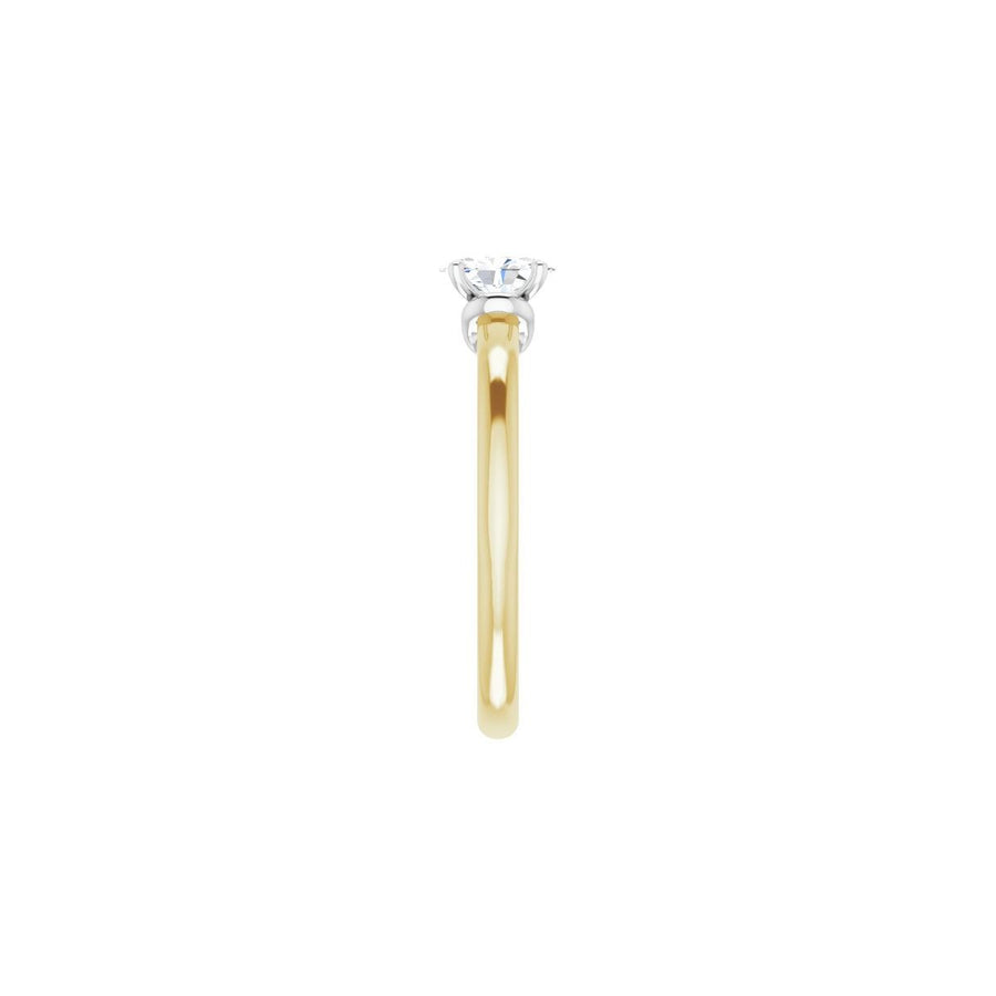 Oval Solitaire Engagement Ring (6 X 4 Mm) Mounting - gallery - Series 123440