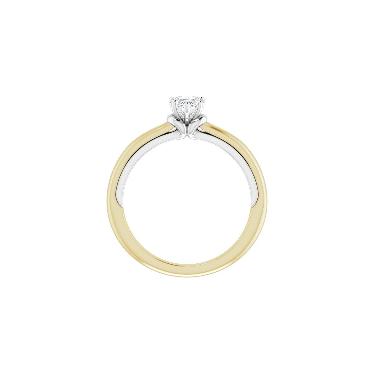 Heart Solitaire Engagement Ring (5 X 5 Mm) Mounting - gallery - Series 123440