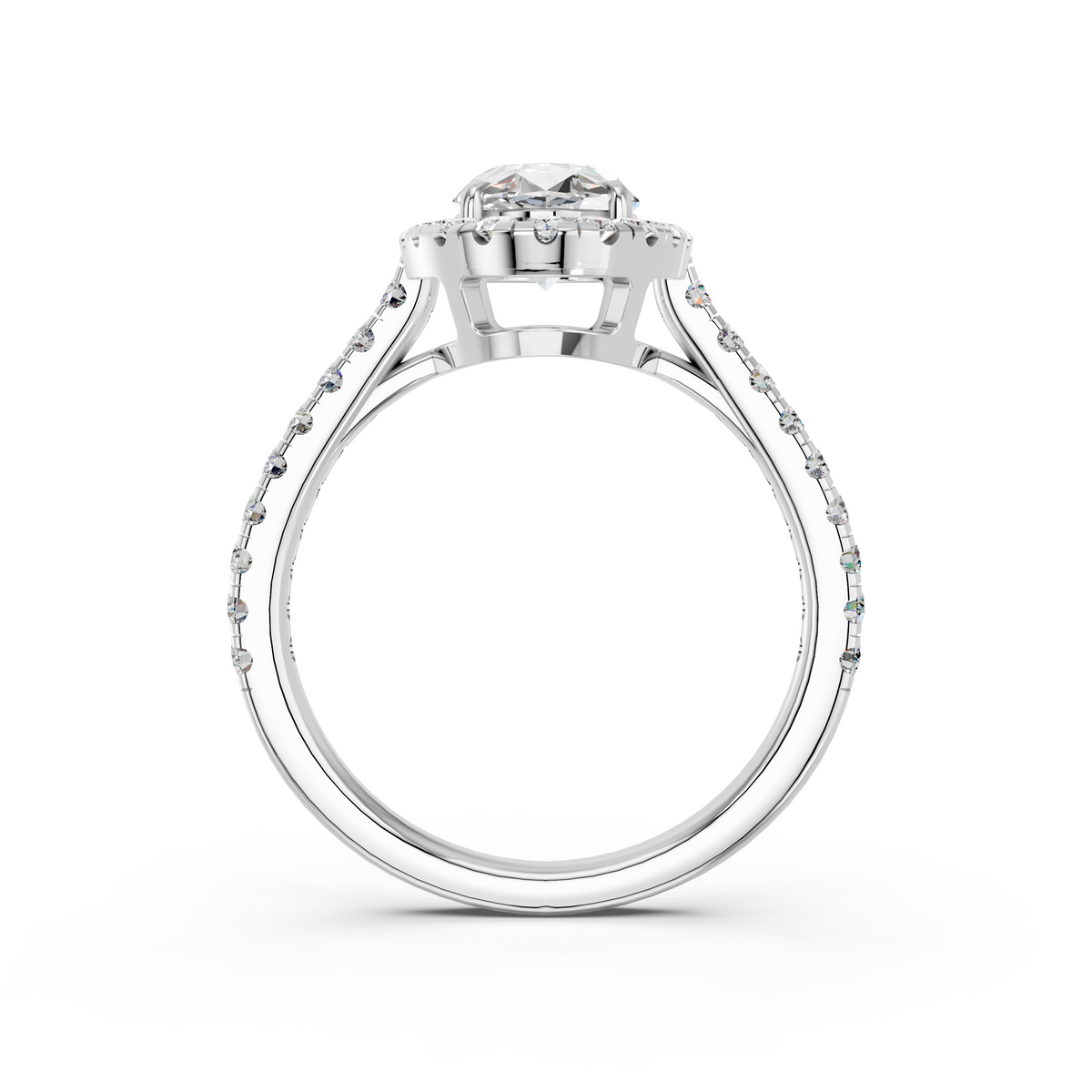 Moval Lab Diamond Halo Ring in 14K White Gold – front view
